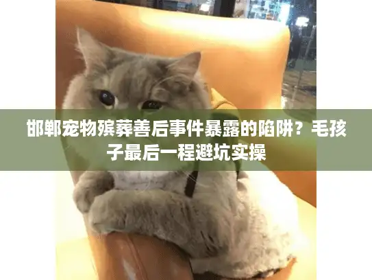 邯郸宠物殡葬善后事件暴露的陷阱？毛孩子最后一程避坑实操