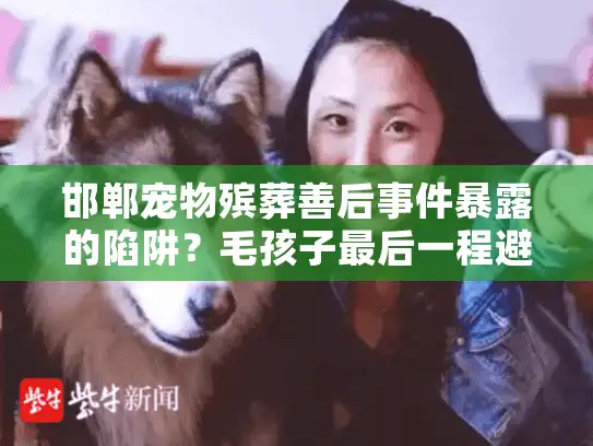 邯郸宠物殡葬善后事件暴露的陷阱？毛孩子最后一程避坑实操