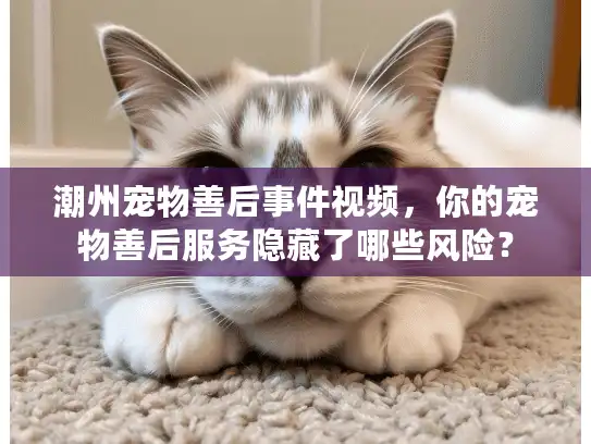 潮州宠物善后事件视频，你的宠物善后服务隐藏了哪些风险？