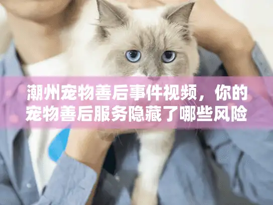 潮州宠物善后事件视频，你的宠物善后服务隐藏了哪些风险？