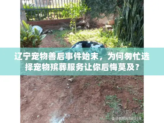 辽宁宠物善后事件始末，为何匆忙选择宠物殡葬服务让你后悔莫及？