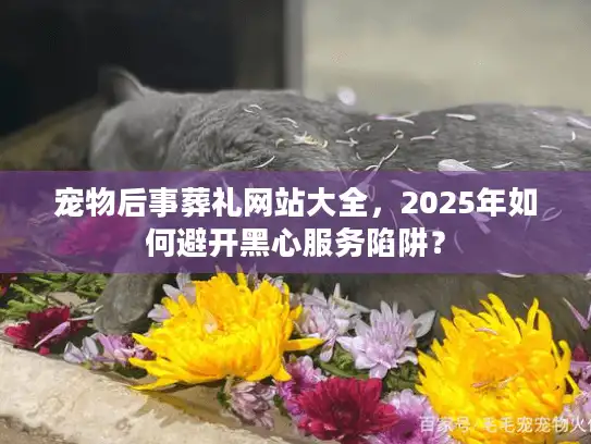 宠物后事葬礼网站大全，2025年如何避开黑心服务陷阱？