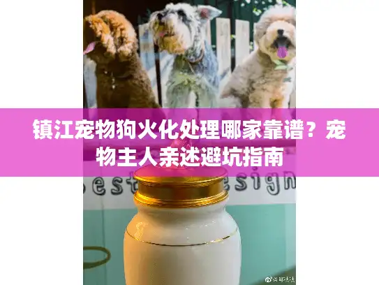 镇江宠物狗火化处理哪家靠谱？宠物主人亲述避坑指南