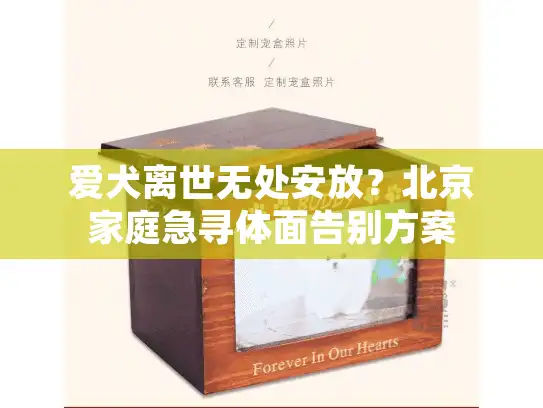 爱犬离世无处安放？北京家庭急寻体面告别方案