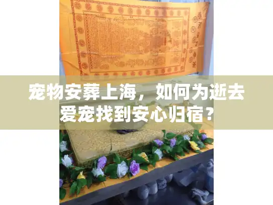 宠物安葬上海，如何为逝去爱宠找到安心归宿？