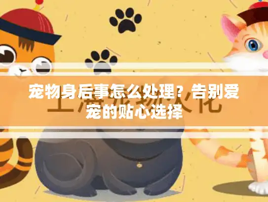 宠物身后事怎么处理？告别爱宠的贴心选择