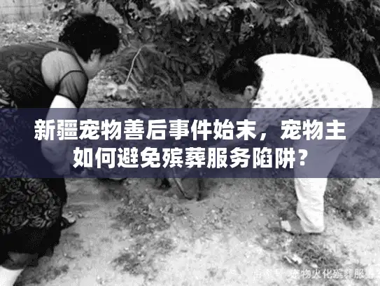 新疆宠物善后事件始末，宠物主如何避免殡葬服务陷阱？