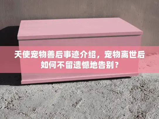 天使宠物善后事迹介绍，宠物离世后如何不留遗憾地告别？