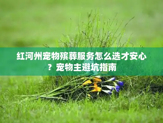 红河州宠物殡葬服务怎么选才安心？宠物主避坑指南