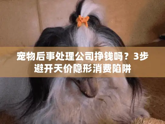 宠物后事处理公司挣钱吗？3步避开天价隐形消费陷阱