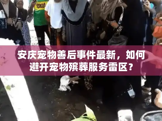 安庆宠物善后事件最新，如何避开宠物殡葬服务雷区？