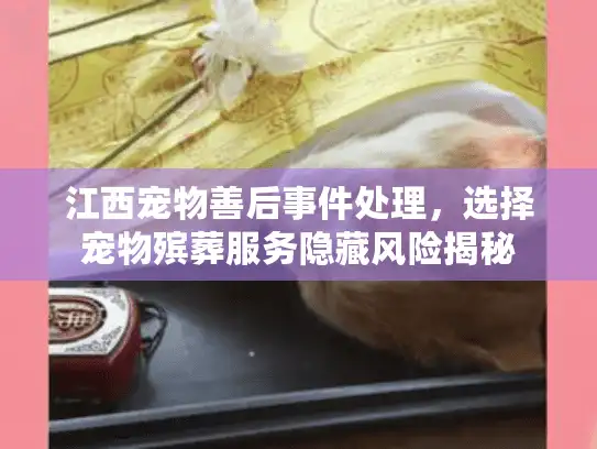 江西宠物善后事件处理，选择宠物殡葬服务隐藏风险揭秘