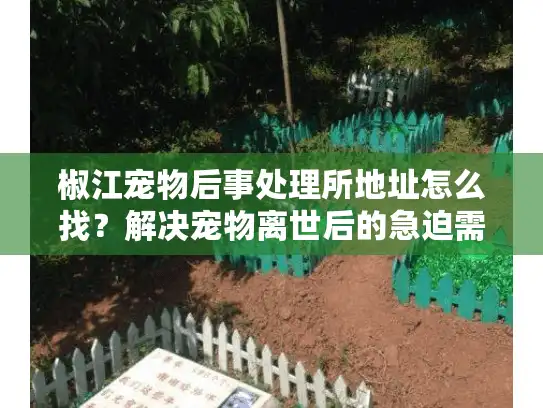 椒江宠物后事处理所地址怎么找？解决宠物离世后的急迫需求