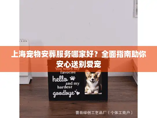 上海宠物安葬服务哪家好？全面指南助你安心送别爱宠