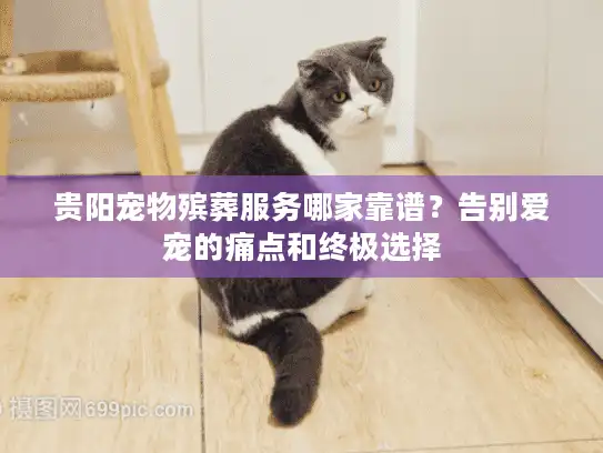 贵阳宠物殡葬服务哪家靠谱？告别爱宠的痛点和终极选择
