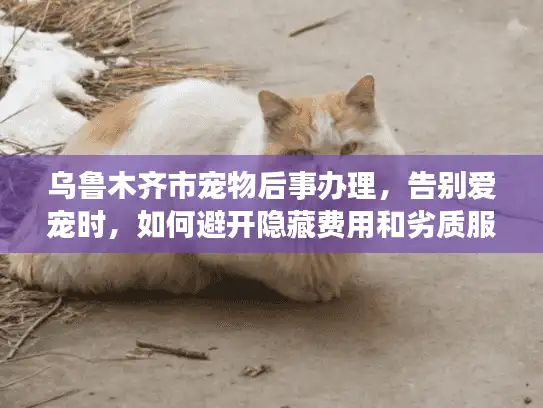 乌鲁木齐市宠物后事办理，告别爱宠时，如何避开隐藏费用和劣质服务？