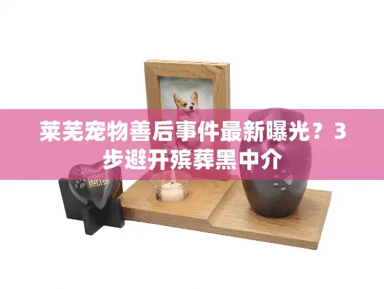 莱芜宠物善后事件最新曝光？3步避开殡葬黑中介