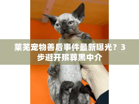 莱芜宠物善后事件最新曝光？3步避开殡葬黑中介