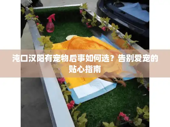 沌口汉阳有宠物后事如何选？告别爱宠的贴心指南