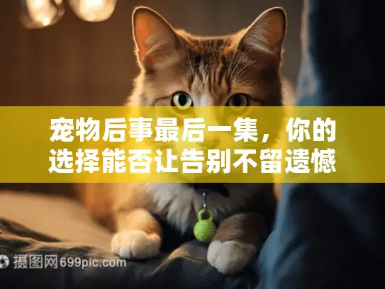 宠物后事最后一集，你的选择能否让告别不留遗憾？