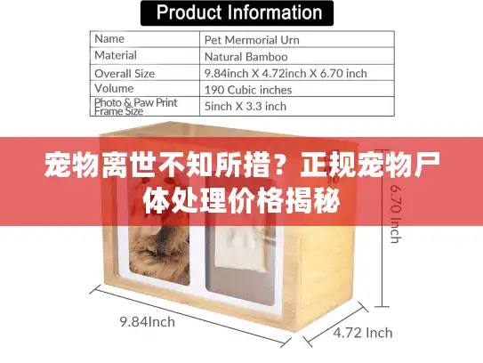 宠物离世不知所措？正规宠物尸体处理价格揭秘