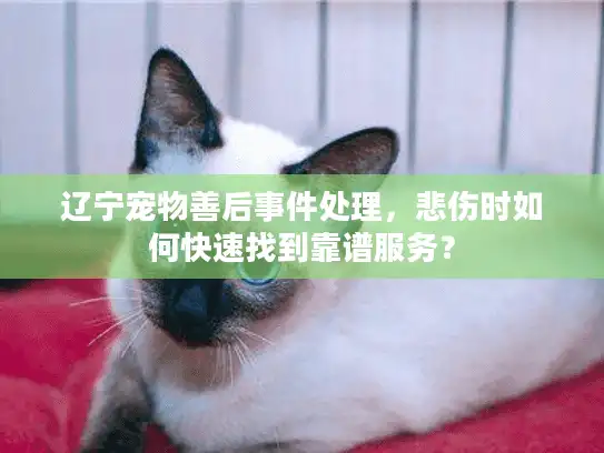 辽宁宠物善后事件处理，悲伤时如何快速找到靠谱服务？