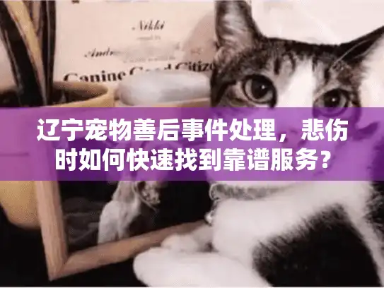 辽宁宠物善后事件处理，悲伤时如何快速找到靠谱服务？