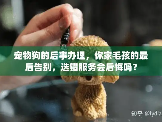 宠物狗的后事办理，你家毛孩的最后告别，选错服务会后悔吗？