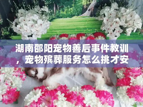 湖南邵阳宠物善后事件教训，宠物殡葬服务怎么挑才安心？