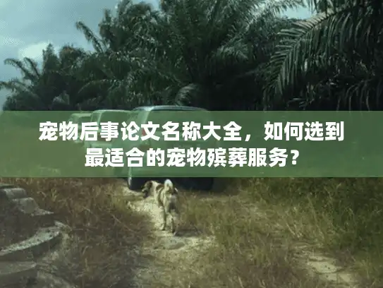 宠物后事论文名称大全，如何选到最适合的宠物殡葬服务？