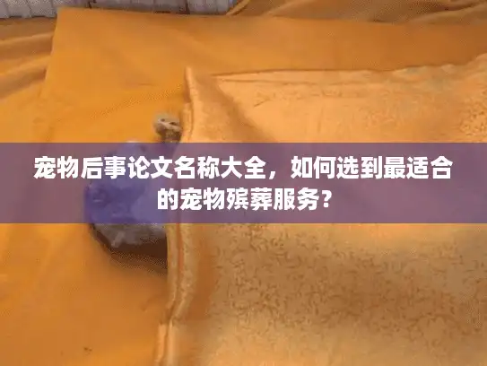 宠物后事论文名称大全，如何选到最适合的宠物殡葬服务？