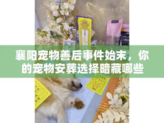 襄阳宠物善后事件始末，你的宠物安葬选择暗藏哪些风险？如何避开高价陷阱