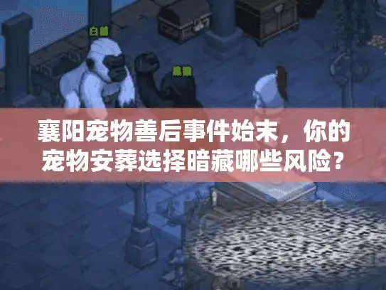 襄阳宠物善后事件始末，你的宠物安葬选择暗藏哪些风险？如何避开高价陷阱