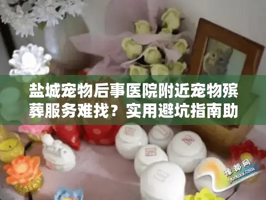 盐城宠物后事医院附近宠物殡葬服务难找？实用避坑指南助你轻松决策
