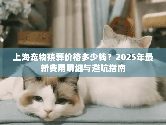 上海宠物殡葬价格多少钱？2025年最新费用明细与避坑指南