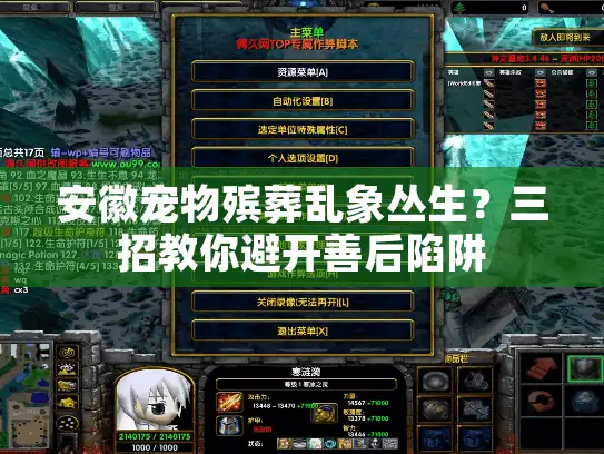 安徽宠物殡葬乱象丛生？三招教你避开善后陷阱