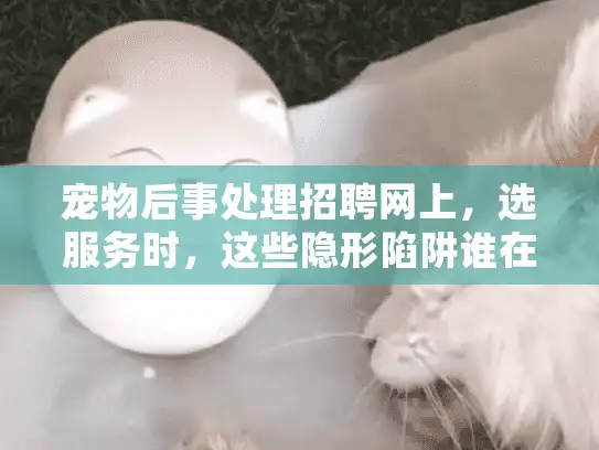 宠物后事处理招聘网上，选服务时，这些隐形陷阱谁在等你踩坑？