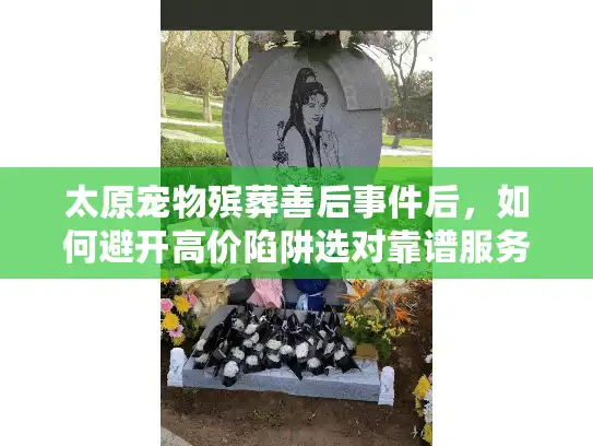 太原宠物殡葬善后事件后，如何避开高价陷阱选对靠谱服务？