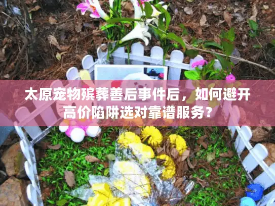 太原宠物殡葬善后事件后，如何避开高价陷阱选对靠谱服务？