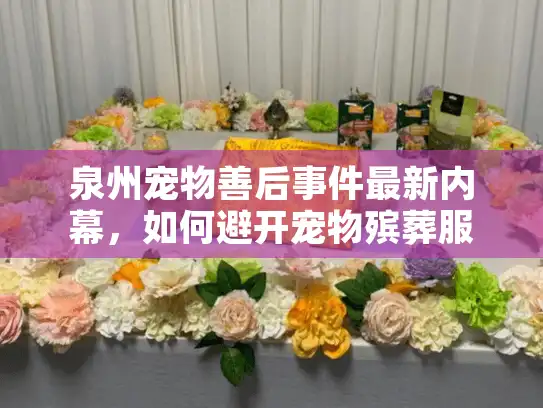 泉州宠物善后事件最新内幕，如何避开宠物殡葬服务的坑？