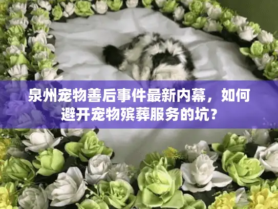 泉州宠物善后事件最新内幕，如何避开宠物殡葬服务的坑？