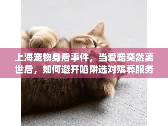 上海宠物身后事件，当爱宠突然离世后，如何避开陷阱选对殡葬服务？