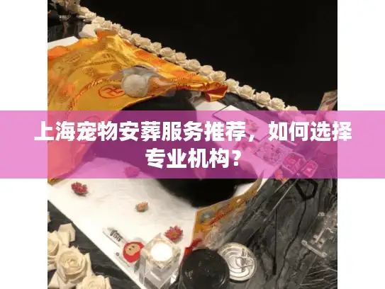 上海宠物安葬服务推荐，如何选择专业机构？