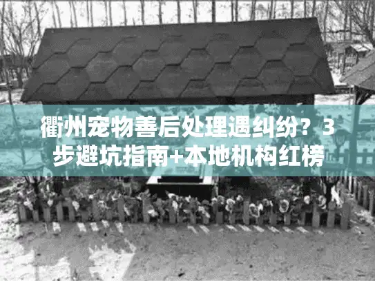 衢州宠物善后处理遇纠纷？3步避坑指南+本地机构红榜