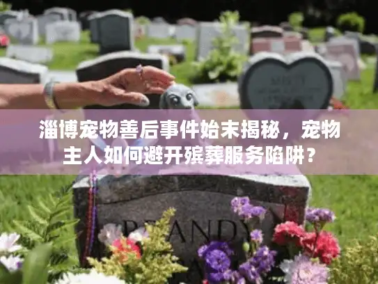 淄博宠物善后事件始末揭秘，宠物主人如何避开殡葬服务陷阱？