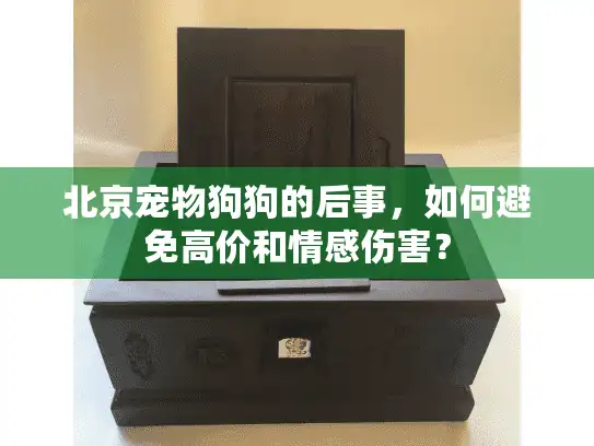 北京宠物狗狗的后事，如何避免高价和情感伤害？