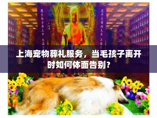 上海宠物葬礼服务，当毛孩子离开时如何体面告别？