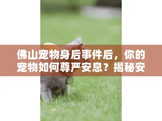 佛山宠物身后事件后，你的宠物如何尊严安息？揭秘安心服务选择