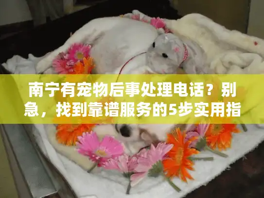 南宁有宠物后事处理电话？别急，找到靠谱服务的5步实用指南