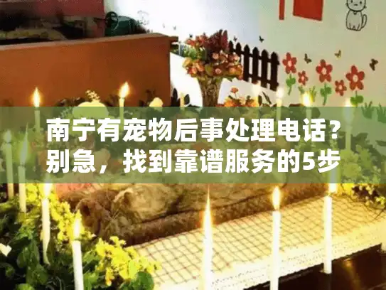 南宁有宠物后事处理电话？别急，找到靠谱服务的5步实用指南